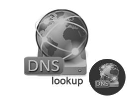 DNS Lookup